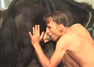 Horse gets to cum thanks to this gay dude