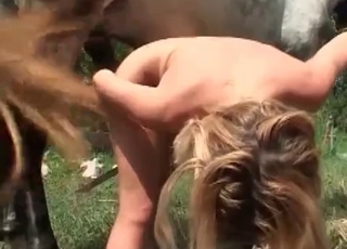 Perfect booty beauty fucks a horse
