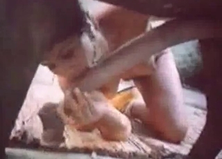 Nasty animal enjoying naughty things