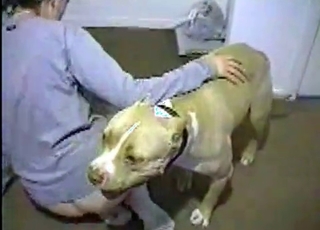 Juicy pussy licked by a mutt