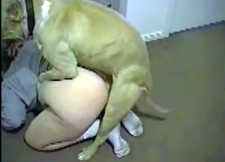 Juicy pussy licked by a mutt