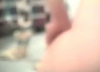 Close-up shots of hardcore bestiality