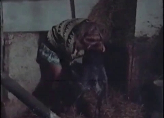 Dog enjoying perverted bestiality