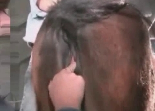 Rimjob for a horny horse, all HD