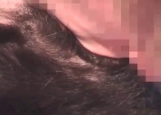 Incredible blowjob by a kinky gay dog