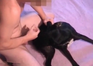 Incredible blowjob by a kinky gay dog