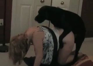 Black puppy seducing a MILF