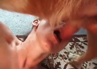 Blowjob with the horny beasts