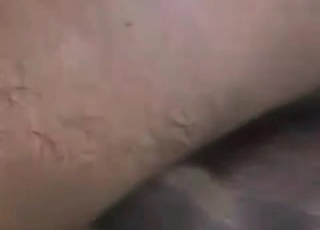 Fucking and licking that dirty dog