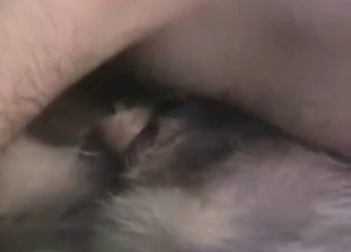 Fucking and licking that dirty dog