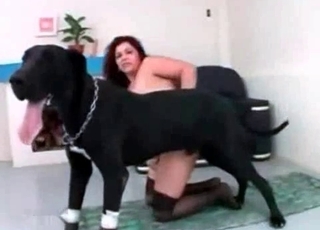 Insane dog and a submissive slut