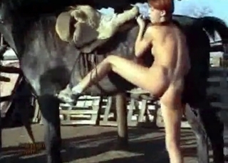Horse cock pleasured by a redhead