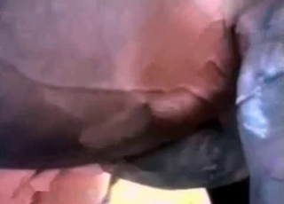Tight slit gets gaped by a horse cock