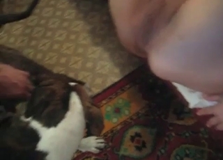 Brutal banging session with a violent dog