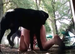 Twisted bestiality turns into group sex