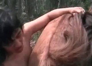 bestiality recorded in high quality