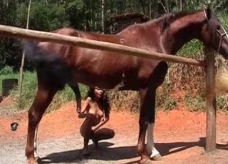 Insane horse gets a deepthroat blowjob