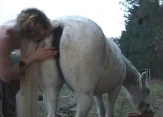 Horse gets stroked and seduced