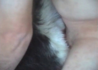 Bestiality that gets hotter and hotter