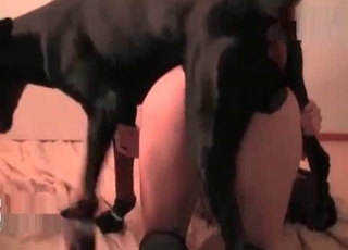 Hot babe fucking a youthful Doberman