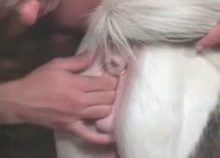 Pony gets pounded from behind