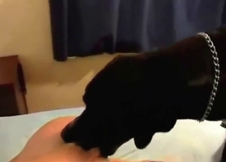 Pudgy blondie enjoying animal fucking