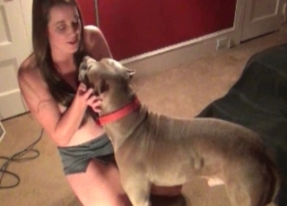 Owner gets destroyed by a horny dog