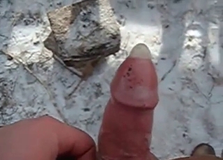 Condoms are important in bestiality