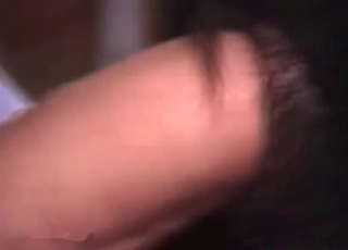 Horny dude fucking this dog's asshole