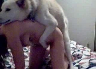 Girl wants to fuck this white dog